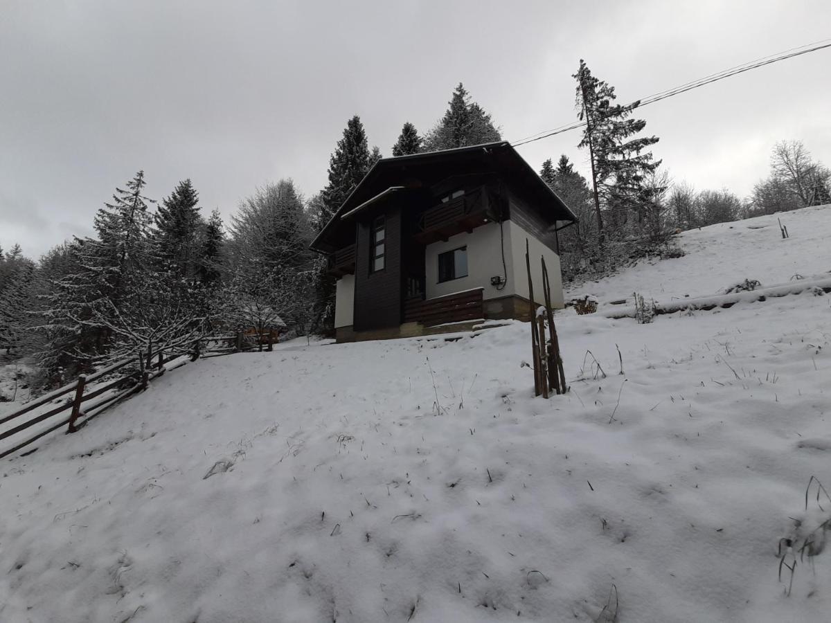 Під Боржавою Pilipets Extérieur photo